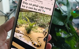 Từ hình ảnh, video đến ca khúc AI: Cẩn trọng 'cơn lốc' nội dung AI trên mạng xã hội
