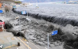 Nhật Bản đón sóng thần cao... 10cm