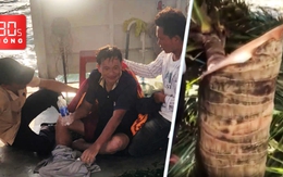 Bản tin 30s Nóng: Người sống sót kể lại hai ngày trôi dạt trên biển Lý Sơn; Tôn bay cắt đôi cây dừa?