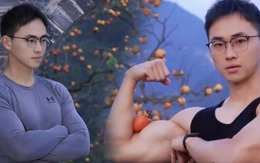 Cán bộ thôn lấy bắp tay kẹp quả hồng để quảng cáo giúp nông dân