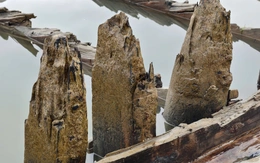 Mong sớm giải mã con tàu cổ ở Hội An