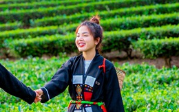 Mượn đồi chè xanh bát ngát, vườn tre tít tắp để 'câu' khách du lịch