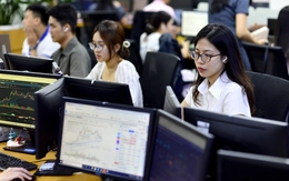VN-Index trở lại 1.700 điểm: 'Cá mập' nâng kỳ vọng, nhà đầu tư nhỏ lẻ lại nhiều trăn trở