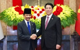 Chủ tịch nước Lương Cường chủ trì lễ đón Quốc vương Brunei