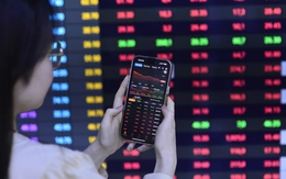 Chỉ hơn 20% cổ phiếu vượt trội, sức 'nóng' nào cho ngành hạ tầng với thương vụ IPO gần 1 tỉ USD?