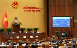 Quốc hội 'chốt' taxi, xe dịch vụ không phải trang bị ghế ngồi cho trẻ em