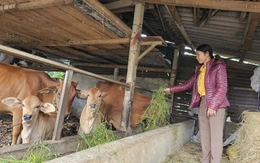 Vay không lãi, khi trả lại tiền đúng hạn người dân được tặng thêm 4 triệu đồng