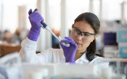 Phòng ngừa HPV: Cần tuân thủ phác đồ đã được phê duyệt