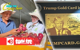 Điểm tin 18h: Xuất khẩu chanh leo vượt 200 triệu USD; Mỹ ra mắt 'thẻ vàng' 1 triệu USD