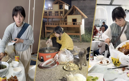 Cô gái vào đám cưới để xin đồ ăn nuôi 120 con mèo hoang