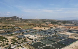 Gần 6.700 tỉ đồng thực hiện dự án di dời, tái định cư cho Nhà máy Điện hạt nhân Ninh Thuận 1