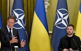 Chuyên gia nhận định về tác động từ việc Ukraine từ bỏ ước mơ gia nhập NATO