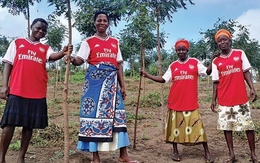Arsenal trồng rừng ở Kenya, mỗi cây xanh đại diện 1 chỗ ngồi trên sân Emirates