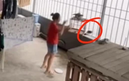 Vợ thả chim chồng nuôi, xong quay đi như chưa có chuyện gì xảy ra