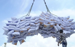 Vị thế nông nghiệp Việt Nam trong bối cảnh hội nhập