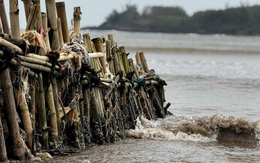 Tự dựng kè cứu nhà, người dân vẫn bất lực trước triều cường dữ dội