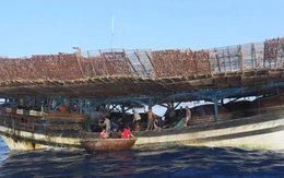 Đã cứu được tất cả ngư dân tàu cá Đà Nẵng bị cháy, chìm trên biển