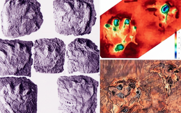 Phát hiện hàng nghìn dấu chân khủng long trên vách núi dựng đứng gần nơi tổ chức Olympic 2026