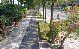 Hình dáng làn cho xe đạp đầu tiên ở TP.HCM sau 2 tháng thi công