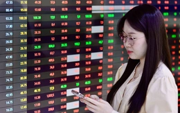 Sắc đỏ phủ thị trường: Cổ phiếu DGC, QCG nằm sàn 2 phiên liên tiếp