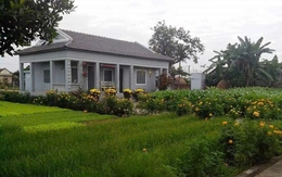 Mái ấm ngày xuân