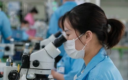 Doanh nghiệp phá sản, nợ bảo hiểm xã hội: Cách chốt sổ, đóng bù để không mất lương hưu