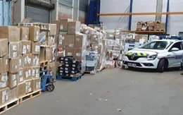 Pháp tịch thu 11 triệu đồ chơi giả, từ Labubu đến hàng Disney