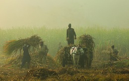 Lại một năm mờ mịt vì ô nhiễm không khí