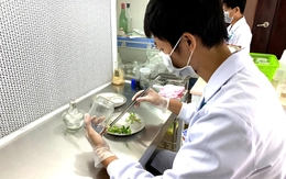 69 nhà khoa học xuất sắc từ nhiều nước về làm việc tại Đại học Quốc gia TP.HCM