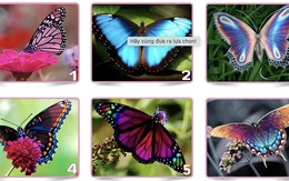 Quiz: Bạn chân thành, nhạy cảm hay là luôn hướng đến sự hoàn hảo