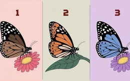 Quiz: Bạn là người thế nào trong mắt bạn bè?