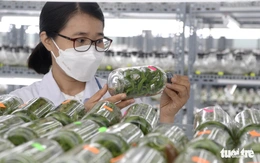 Khoa học và công nghệ mở ra cơ hội cách mạng mới trong nông nghiệp