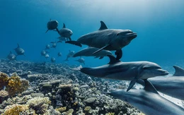 7 thành tựu khoa học truyền cảm hứng năm 2025