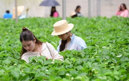 Thời tiết hôm nay 20-12: Bắc Bộ nắng yếu, Nam Bộ nắng gắt