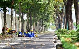 Sắp có tuyến đường dành riêng xe đạp đầu tiên tại TP.HCM