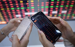 Thoái vốn nhà nước có trở thành 'sân chơi đại chúng'?