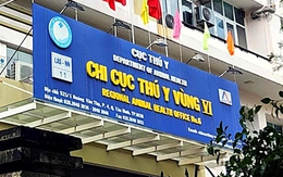 Truy tố cựu lãnh đạo Chi cục Thú y vùng VI 'tiếp tay' buôn lậu