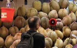 Lào được Trung Quốc cấp phép xuất khẩu sầu riêng tươi, cạnh tranh với Thái Lan