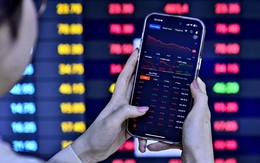 'Cá mập' PYN Elite Fund: Nhiều người nói năm nay nên gọi là 'VIN-Index'