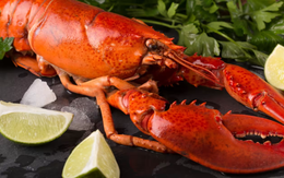 Độc lạ: Nước Anh cấm luộc tôm hùm khi chúng còn… sống