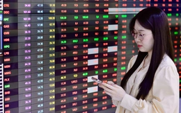 Hơn 400 mã giảm giá, VN-Index vẫn lập đỉnh mới 1.772 điểm