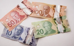 Tiền giả tràn lan trong mùa Giáng sinh tại Canada