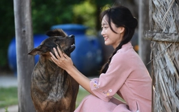 Mái ấm ngày xuân