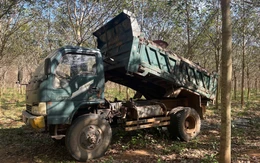 Bị bắt quả tang khi mang phân heo đi đổ bậy