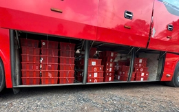 Phát hiện 676 con rắn hổ mang nặng gần 1.000kg dưới gầm xe khách giường nằm