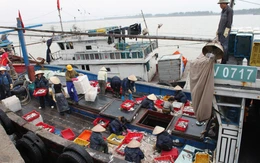 Thanh Hóa hỗ trợ ngư dân lắp đặt thiết bị giám sát hành trình tàu cá