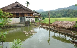 Mái ấm ngày xuân