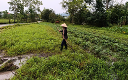 Chục năm làm sổ đỏ chưa xong