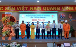 EVNHCMC: Các công ty thành viên vươn mình sau sáp nhập