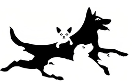 Quiz: Số lượng con chó đếm được tiết lộ tuổi não của bạn